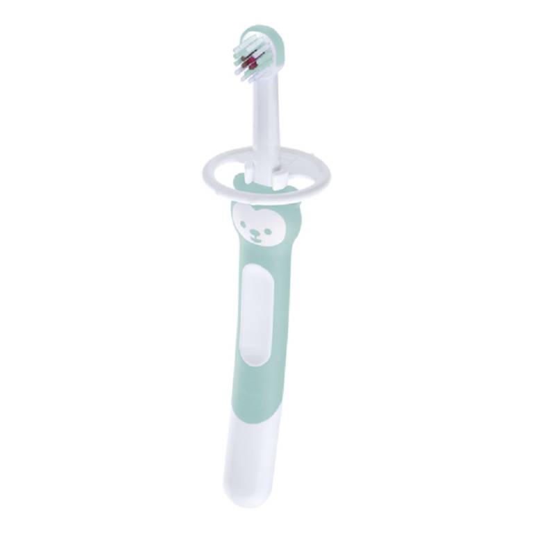 MAM TRAINING BRUSH MASCHIO